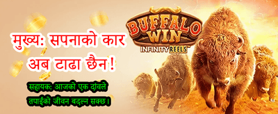 सर्वश्रेष्ठ क्रिकेट बेटिङ अनुभव